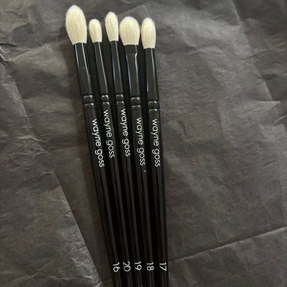 WAYNE GOSS - The Eye Set - Brushes 16 - 20 NWOB - Picture 2 of 7